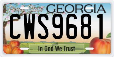 GA license plate CWS9681