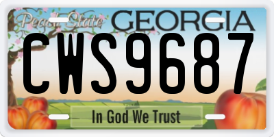 GA license plate CWS9687