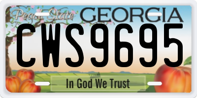 GA license plate CWS9695