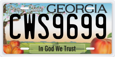 GA license plate CWS9699