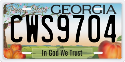GA license plate CWS9704