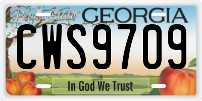 GA license plate CWS9709