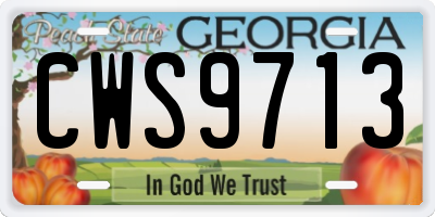 GA license plate CWS9713