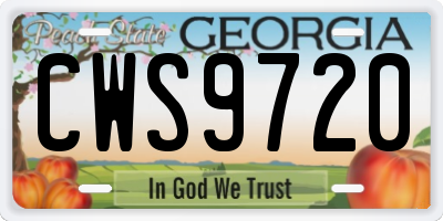 GA license plate CWS9720