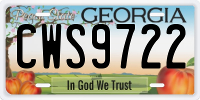 GA license plate CWS9722