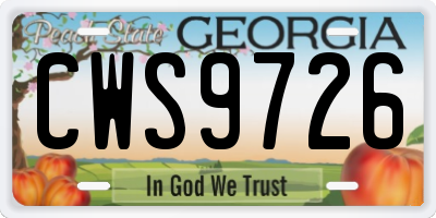 GA license plate CWS9726