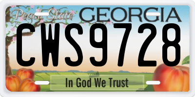 GA license plate CWS9728