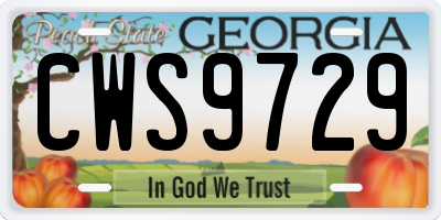 GA license plate CWS9729