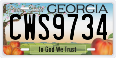 GA license plate CWS9734