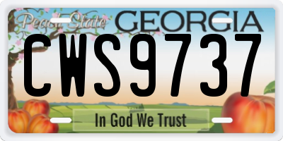 GA license plate CWS9737