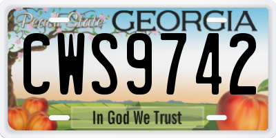 GA license plate CWS9742