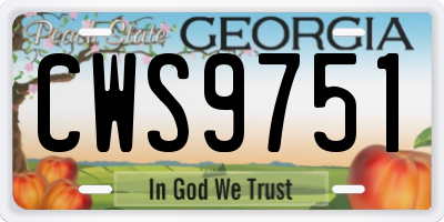GA license plate CWS9751