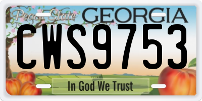 GA license plate CWS9753