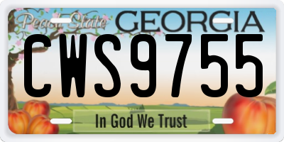 GA license plate CWS9755