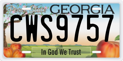 GA license plate CWS9757