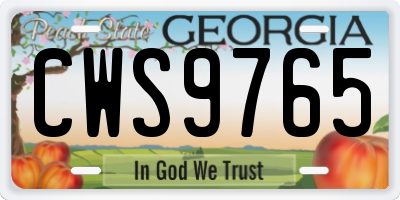 GA license plate CWS9765