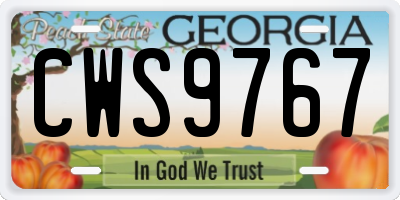 GA license plate CWS9767