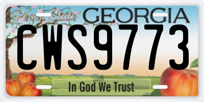 GA license plate CWS9773