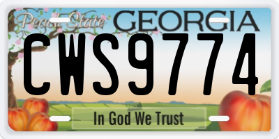 GA license plate CWS9774