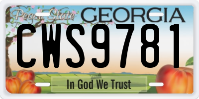 GA license plate CWS9781