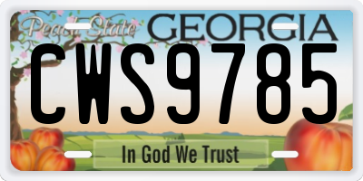 GA license plate CWS9785