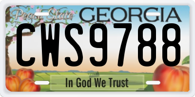 GA license plate CWS9788
