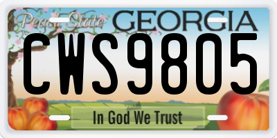 GA license plate CWS9805