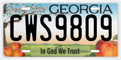 GA license plate CWS9809