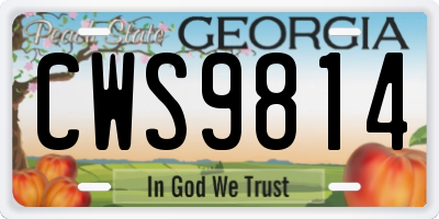 GA license plate CWS9814