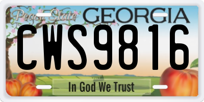 GA license plate CWS9816