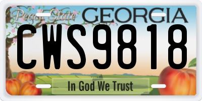 GA license plate CWS9818