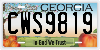 GA license plate CWS9819