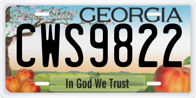 GA license plate CWS9822