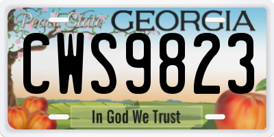 GA license plate CWS9823