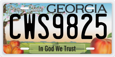 GA license plate CWS9825