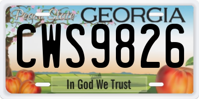 GA license plate CWS9826