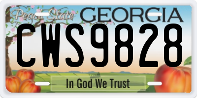 GA license plate CWS9828