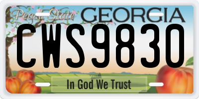 GA license plate CWS9830