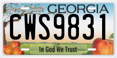 GA license plate CWS9831