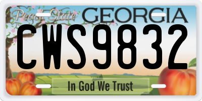 GA license plate CWS9832