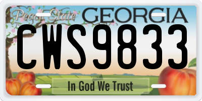 GA license plate CWS9833