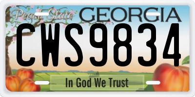 GA license plate CWS9834