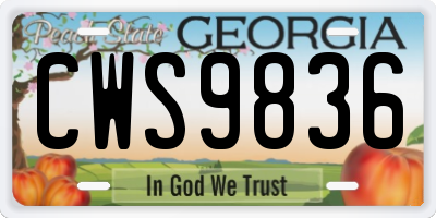 GA license plate CWS9836