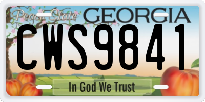 GA license plate CWS9841