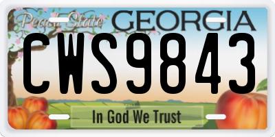 GA license plate CWS9843