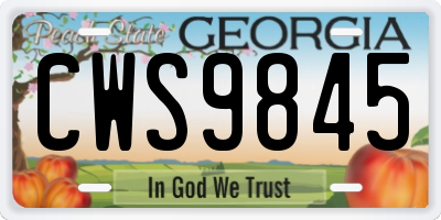 GA license plate CWS9845