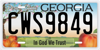 GA license plate CWS9849