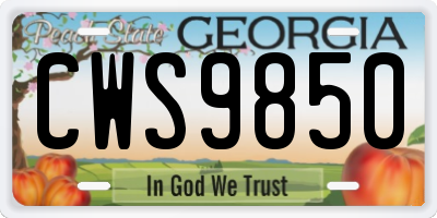 GA license plate CWS9850