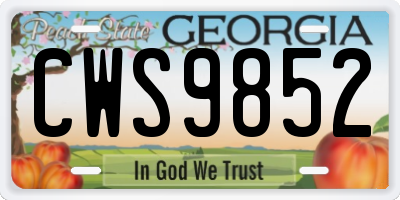 GA license plate CWS9852