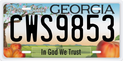 GA license plate CWS9853
